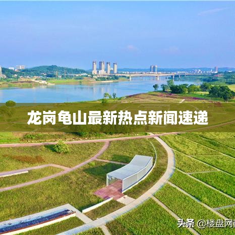 龙岗龟山最新热点新闻速递