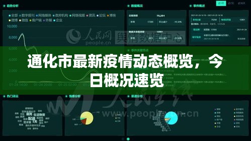 通化市最新疫情动态概览，今日概况速览