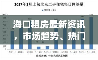 海口租房最新资讯，市场趋势、热门区域全解析及租房攻略汇总