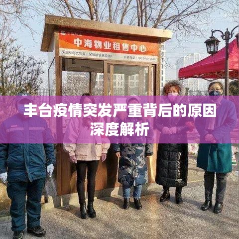 丰台疫情突发严重背后的原因深度解析