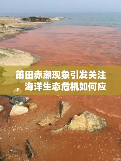 莆田赤潮现象引发关注，海洋生态危机如何应对？