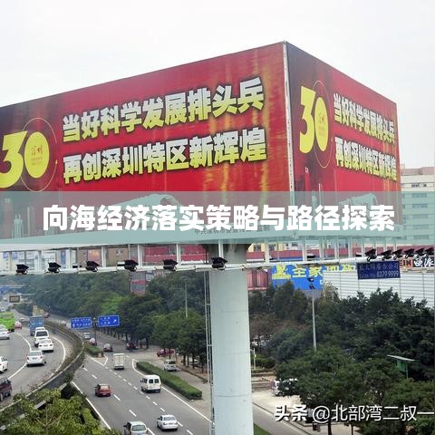 向海经济落实策略与路径探索