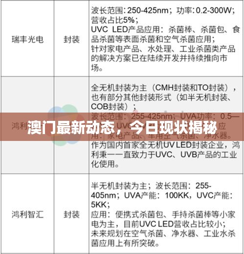 澳门最新动态，今日现状揭秘