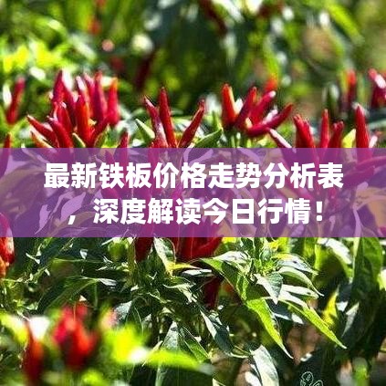最新铁板价格走势分析表，深度解读今日行情！