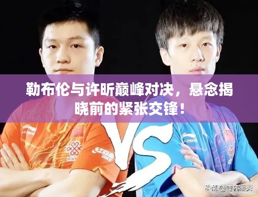 勒布伦与许昕巅峰对决，悬念揭晓前的紧张交锋！