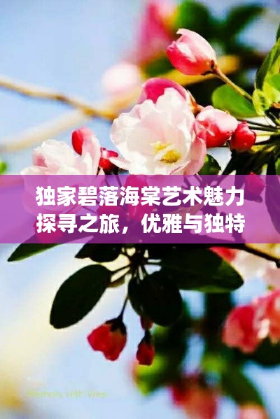 独家碧落海棠艺术魅力探寻之旅，优雅与独特的艺术之旅