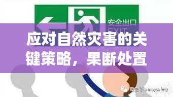应对自然灾害的关键策略，果断处置突发冰凌洪水威胁