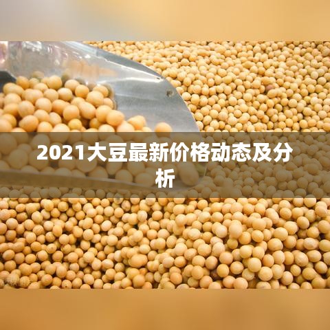 2021大豆最新价格动态及分析