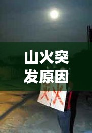 一次性餐包 第6页
