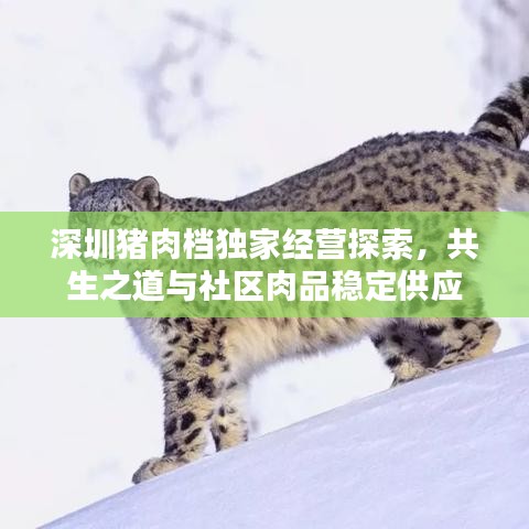 深圳猪肉档独家经营探索，共生之道与社区肉品稳定供应