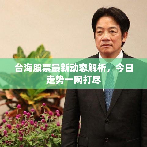 台海股票最新动态解析，今日走势一网打尽