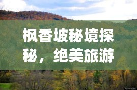 枫香坡秘境探秘，绝美旅游攻略
