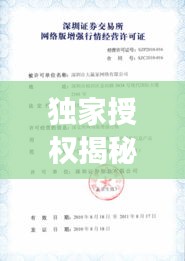 独家授权揭秘，独家授权情况深度说明
