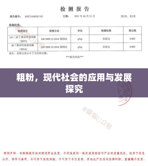 粗粉，现代社会的应用与发展探究