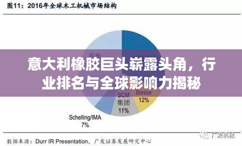 意大利橡胶巨头崭露头角，行业排名与全球影响力揭秘