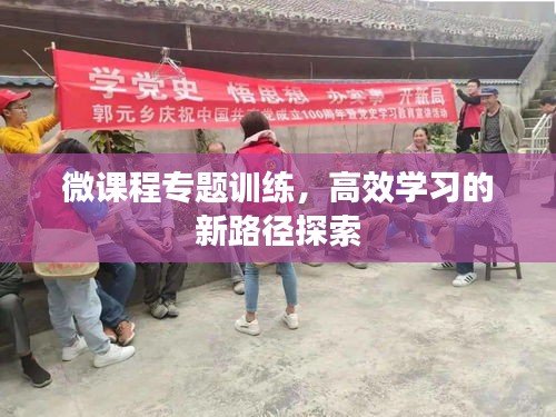 微课程专题训练，高效学习的新路径探索