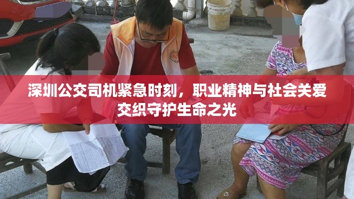 深圳公交司机紧急时刻，职业精神与社会关爱交织守护生命之光