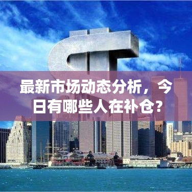 最新市场动态分析，今日有哪些人在补仓？