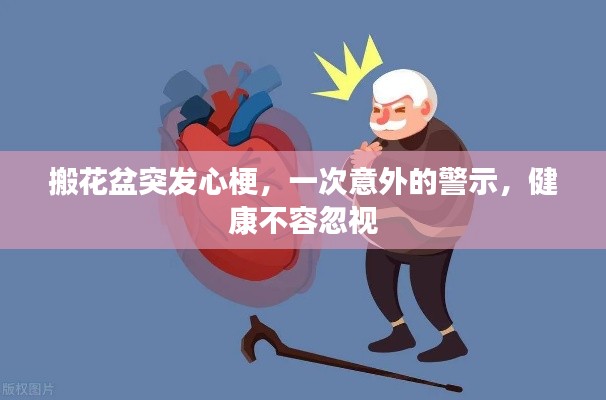 搬花盆突发心梗，一次意外的警示，健康不容忽视