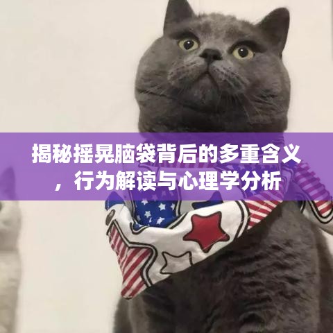 揭秘摇晃脑袋背后的多重含义，行为解读与心理学分析
