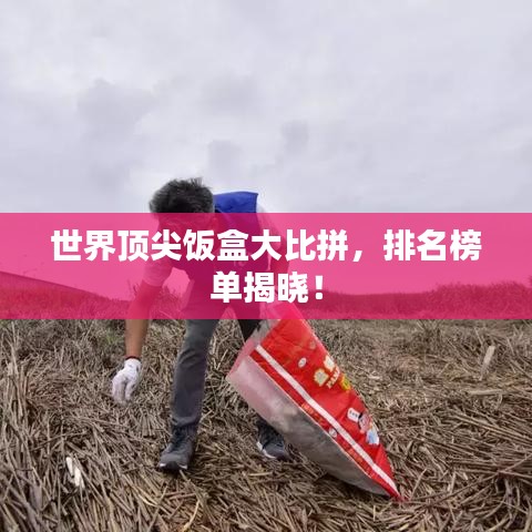 世界顶尖饭盒大比拼，排名榜单揭晓！