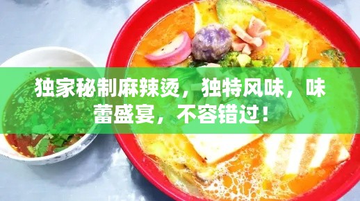 独家秘制麻辣烫，独特风味，味蕾盛宴，不容错过！