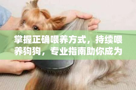 掌握正确喂养方式，持续喂养狗狗，专业指南助你成为养狗达人！