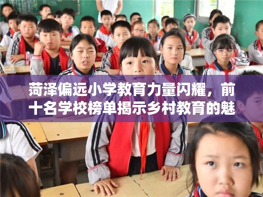 菏泽偏远小学教育力量闪耀，前十名学校榜单揭示乡村教育的魅力