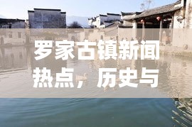 罗家古镇新闻热点，历史与现代交融下的繁荣新篇章