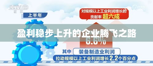盈利稳步上升的企业腾飞之路