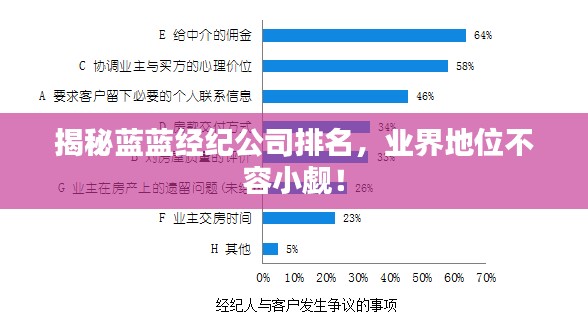 揭秘蓝蓝经纪公司排名，业界地位不容小觑！
