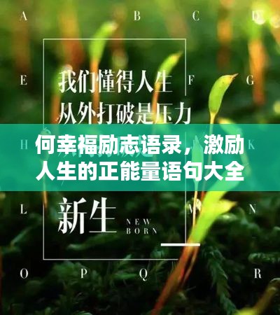 何幸福励志语录，激励人生的正能量语句大全