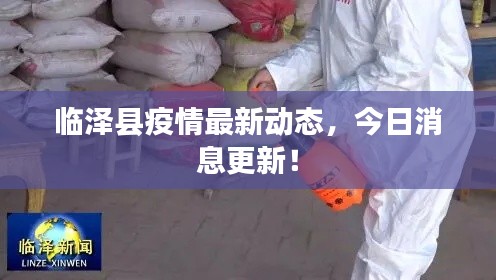 临泽县疫情最新动态，今日消息更新！