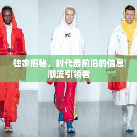 独家揭秘，时代最前沿的信息潮流引领者