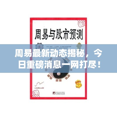 周易最新动态揭秘，今日重磅消息一网打尽！