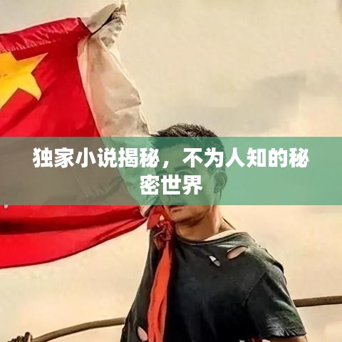 独家小说揭秘，不为人知的秘密世界