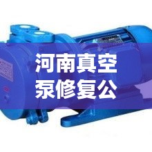 河南真空泵修复公司排行榜揭晓！