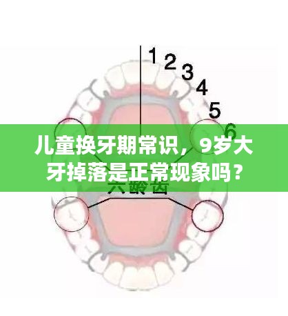 儿童换牙期常识，9岁大牙掉落是正常现象吗？