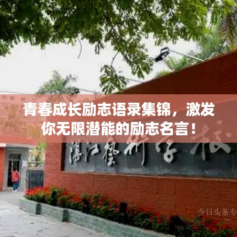 青春成长励志语录集锦，激发你无限潜能的励志名言！