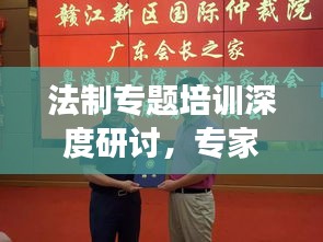 法制专题培训深度研讨，专家发言亮点解读