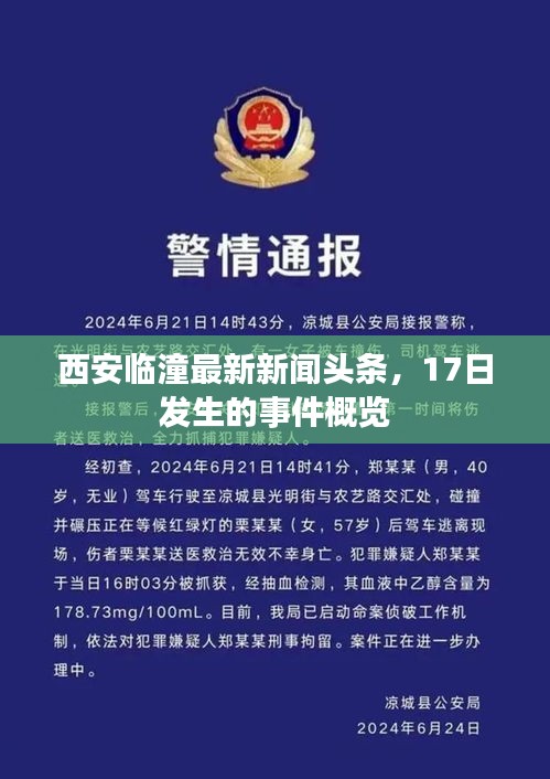 西安临潼最新新闻头条，17日发生的事件概览