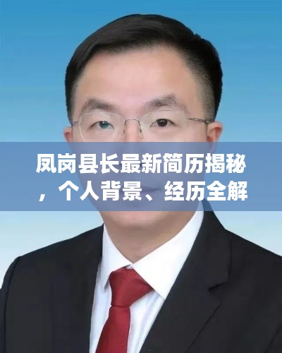 凤岗县长最新简历揭秘，个人背景、经历全解析