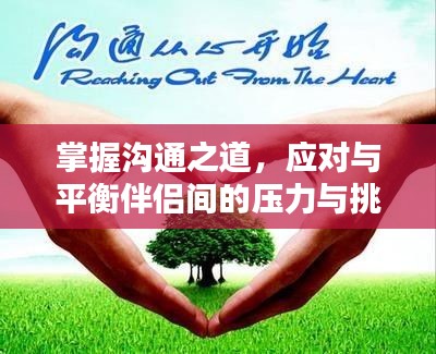 小鸟伊人