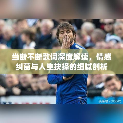 当断不断歌词深度解读，情感纠葛与人生抉择的细腻剖析
