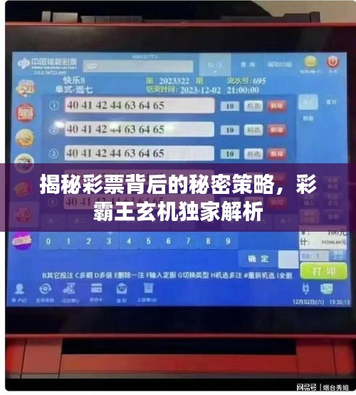 揭秘彩票背后的秘密策略，彩霸王玄机独家解析