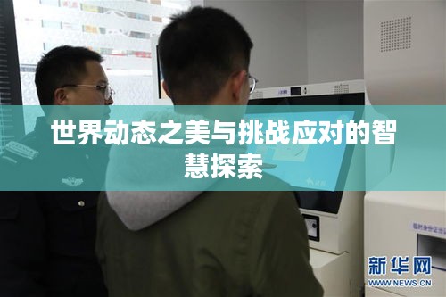 世界动态之美与挑战应对的智慧探索