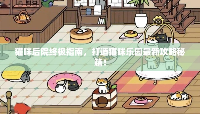 猫咪后院终极指南，打造猫咪乐园最新攻略秘籍！