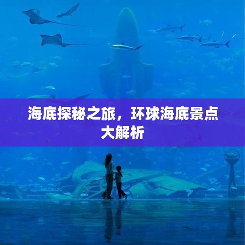 海底探秘之旅，环球海底景点大解析
