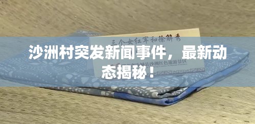 沙洲村突发新闻事件，最新动态揭秘！